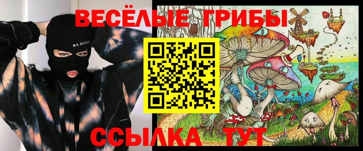 Псилоцибиновые грибы Cubensis  Вход с VPN  Галлюциногенные грибы Psilocybine cubensis  Нурлат 